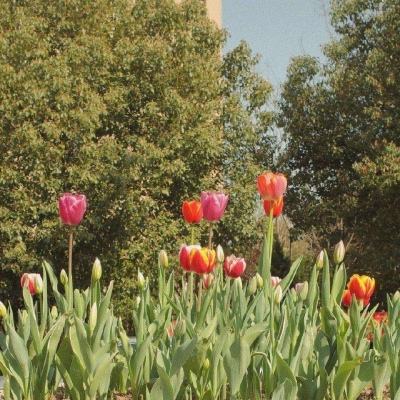 BET9官方APP下载正版下载手机版